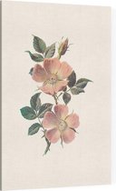 Roos (Rose) - Foto op Canvas - 100 x 150 cm