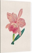 Orchidee Aquarel 3 (Orchid) - Foto op Canvas - 40 x 60 cm