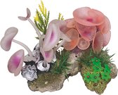 Aqua deco koraal steen 14x10x10cm