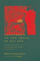 Conformed to the Image of His Son Reconsidering Paul's Theology of Glory in Romans
