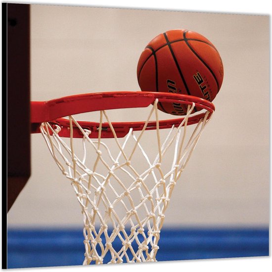 Dibond –Basketball in Doel-50x50 Foto op Aluminium (Met ophang)