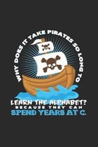 Pirates: 6x9 Pirate - grid - squared paper - notebook - notes