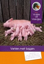 DIY wolvilt pakket: Varken met biggen