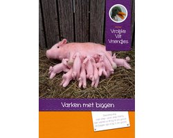 DIY wolvilt pakket: Varken met biggen