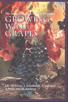 Growing Wine Grapes