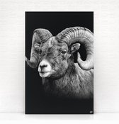 HIP ORGNL Schilderij Aries - Ram - 60x90cm - Wanddecoratie dieren - Zwart wit
