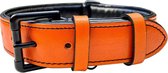 Brute Strength - Luxe leren halsband hond - Oranje - L - (46 - 53 cm) x 3,5cm