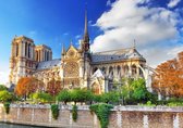 Notre-Dame de Paris  1000 pieces