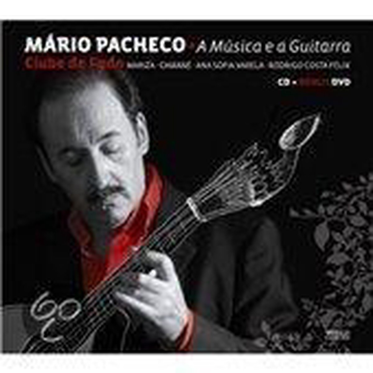 A Musica E A Guita Guitarra