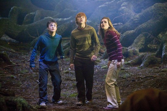 Harry, Ron en Hermelien staan op in een donker bos.