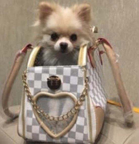 Luxe huisdier draagtas - Tas voor honden - Hondentas - 38 x 23 x 17 cm -  Wit