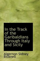 In the Track of the Garibaldians Through Italy and Sicily