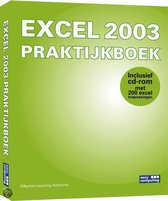 Excel 2003 Startersboek