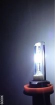 Tom Xenonlamp D2r 12 Volt 35 Watt 6000k Wit Per Stuk