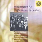 Miniaturen Für Kammerorchester (Albinoni, Mozart,