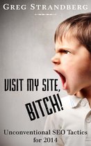Increasing Website Traffic Series 2 - Visit My Site, Bitch! Unconventional SEO Tactics for 2014