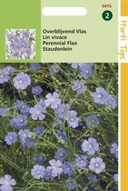 Hortitops Zaden - Linum Perenne (Vlas) Blauw