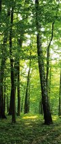 Forest Trees GreenNature Photo Wallcovering