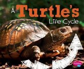 A Turtles Life Cycle (Explore Life Cycles)