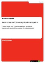 Aristoteles und Montesquieu im Vergleich