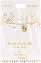 Ketting Steenbok, gold plated