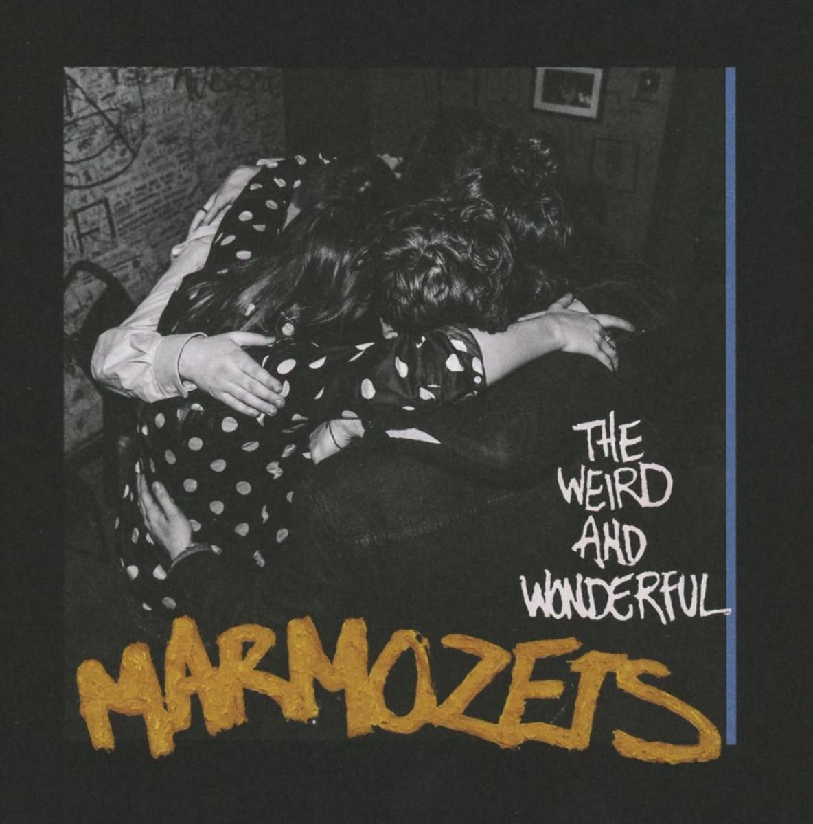 The Weird And Wonderful Marmozets