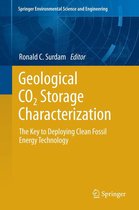 Springer Environmental Science and Engineering - Geological CO2 Storage Characterization