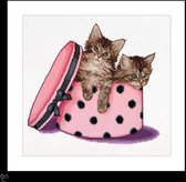 Thea Gouverneur - Kit point de croix avec grille - 734A - Fils DMC pré-triés - Chaton Twins - Aida - 31 cm x 30 cm - Kit DIY