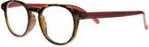 Icon Eyewear RCR003 Boston leesbril +3.00 - Demi montuur, rode poten