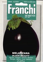 Franchi - Melanzana Black Beauty - Aubergine
