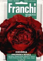 Franchi - Cicoria Orchidea Rossa - Roodlof
