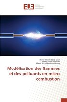 Omn.Univ.Europ.- Modélisation Des Flammes Et Des Polluants En Micro Combustion