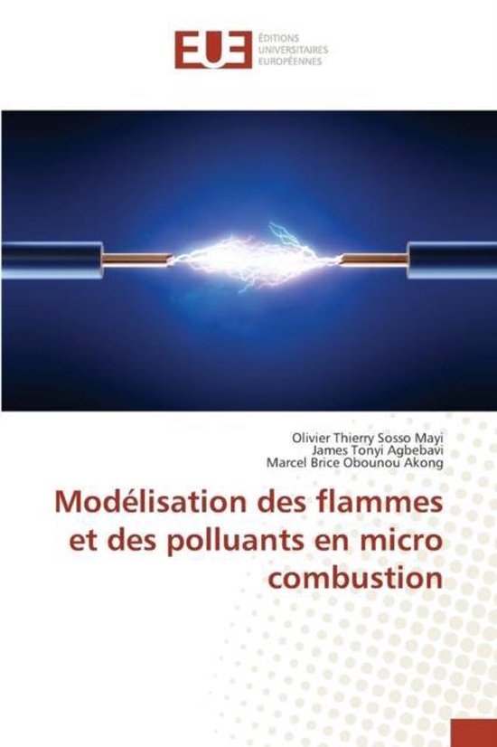 Foto: Omn univ europ mod lisation des flammes et des polluants en micro combustion