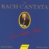 Bach Kantate, Vol. 48