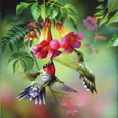 Diamond painting Vogel (30 x 30)