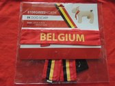 Écharpe pour chien Belgique moyen