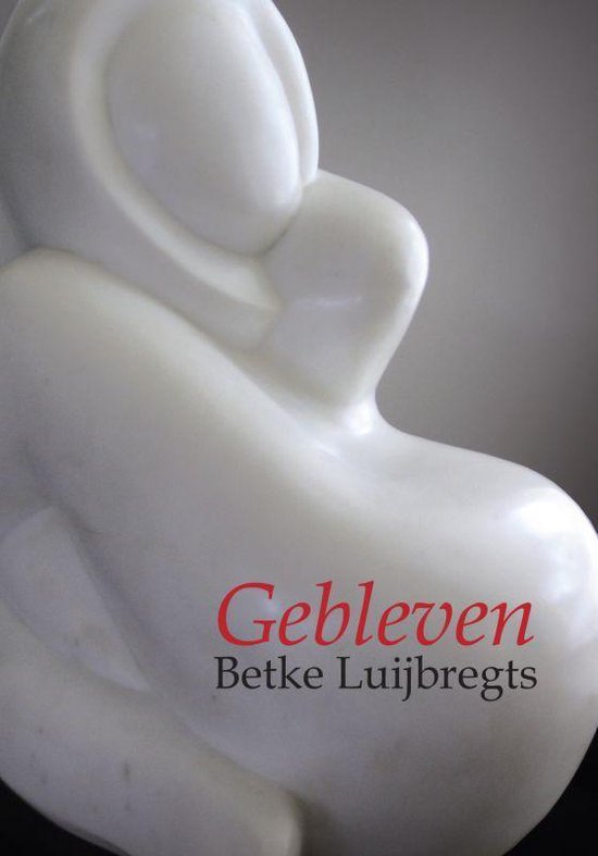 Cover van het boek 'Gebleven' van Betke Luijbregts