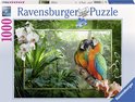 Ravensburger Puzzel - Papegaaien in de Jungle