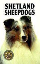 Shetland Sheepdogs