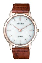 Citizen AR1133-15A horloge - Goudkleurig - 39 mm