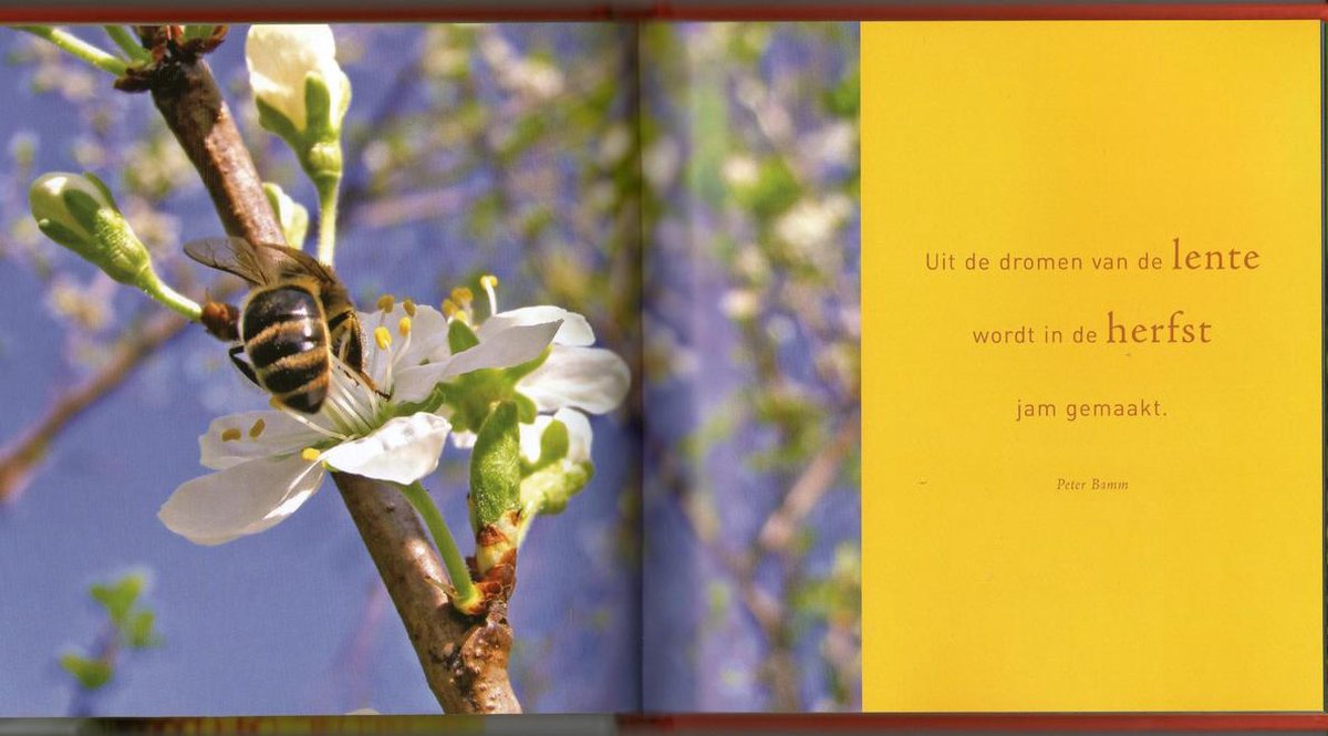 Wijze uitspraken over dromen, Gerd de Ley 9789055138678