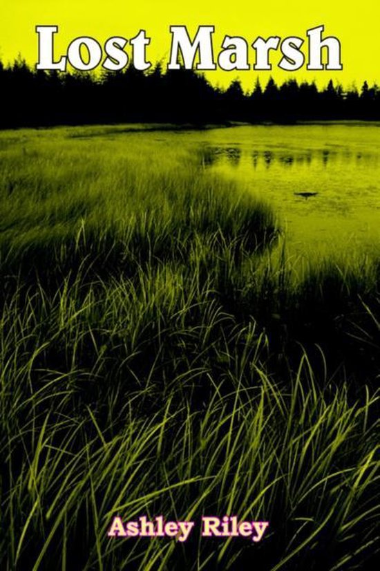 Lost Marsh - cover