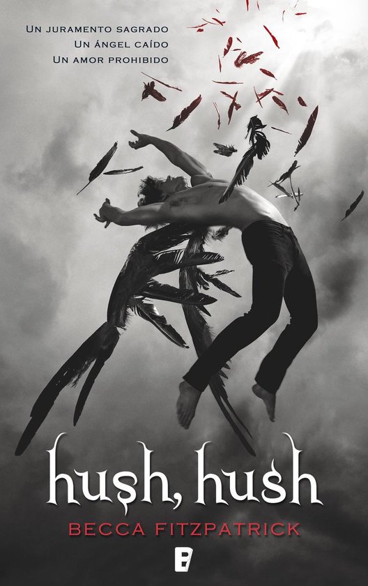 Saga Hush, Hush 1 - Hush, Hush (Saga Hush, Hush 1) - cover