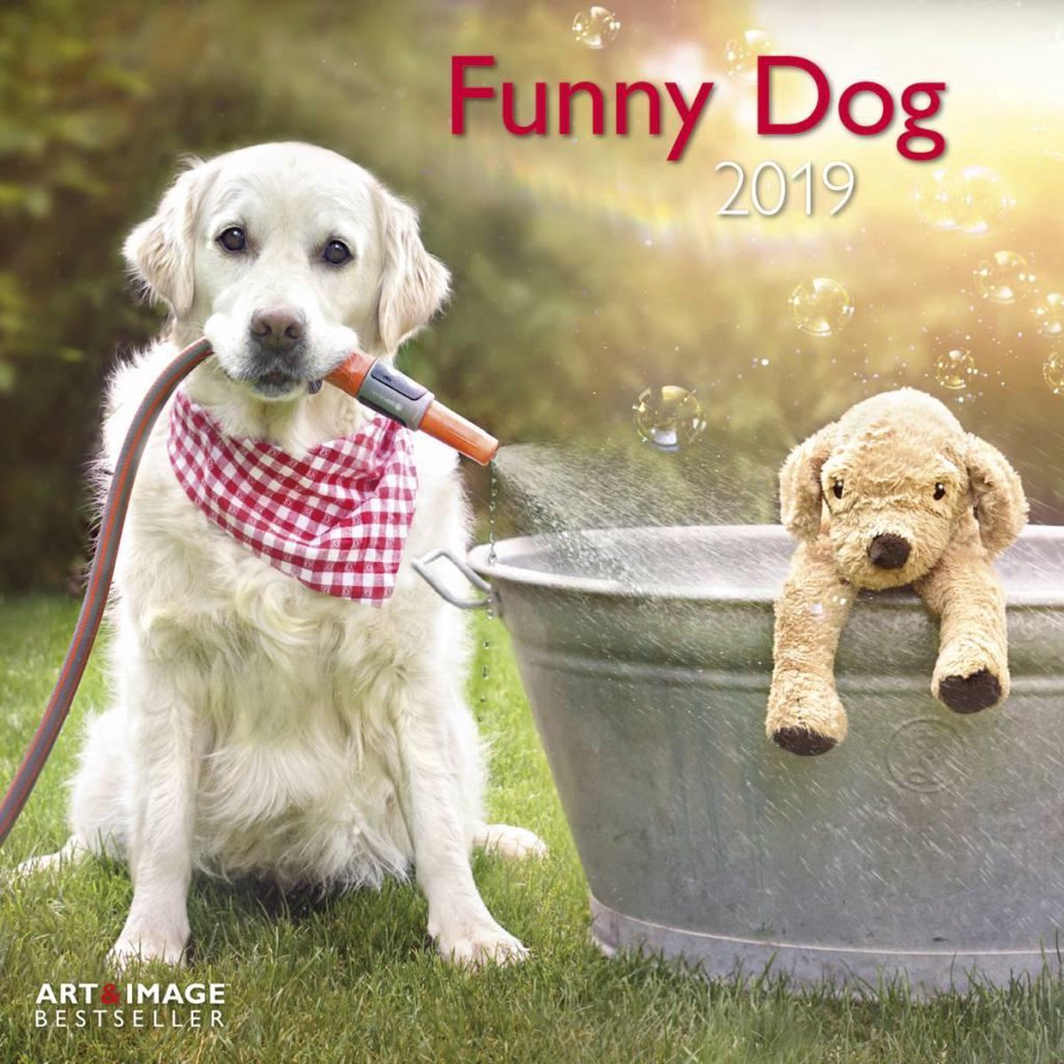 Funny Dog Kalender 2019 incl. jaarposter