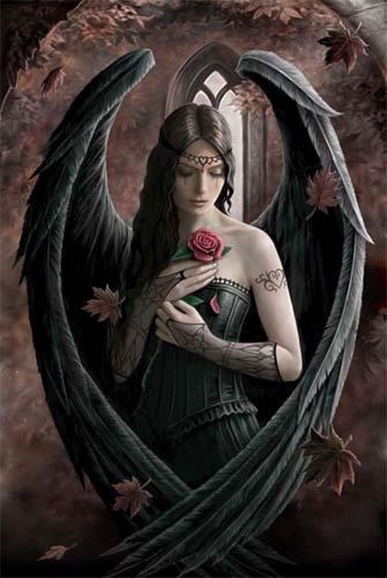 Anne Stokes Wenskaart Angel Rose