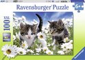 Ravensburger Schattige katjes - Puzzel van 100 stukjes