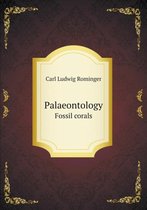 Palaeontology Fossil Corals