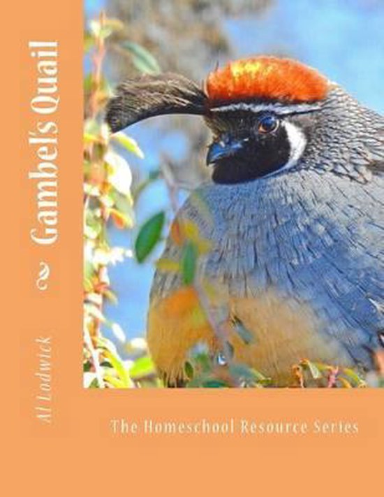 The Homeschool Resource- Gambel's Quail - cover