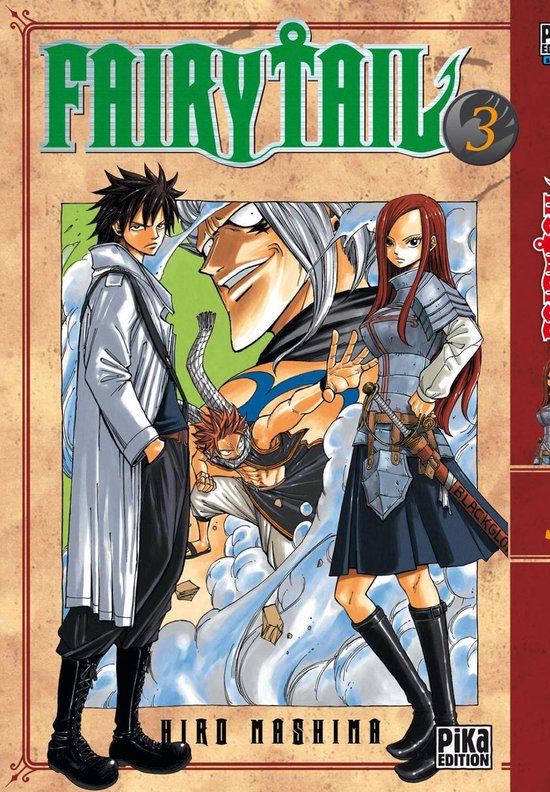 Fairy Tail 3 - Fairy Tail T03