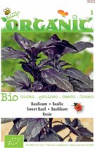Buzzy® Organic - Basilicum Rosie (BIO)